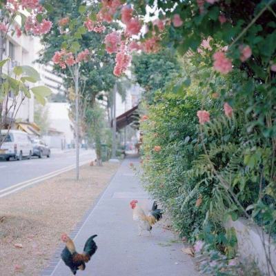 彩神下载手机版